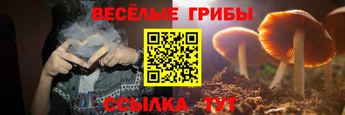 купить  цена  Галлюциногенные грибы мухоморы  Вход с VPN  Коряжма 