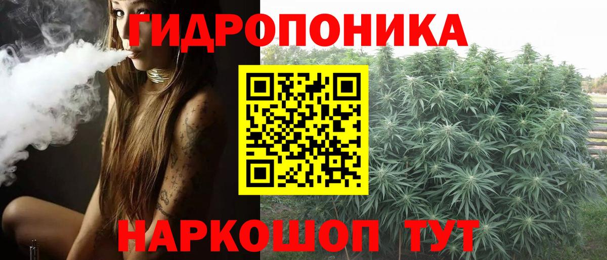 Шишки марихуана ГИДРОПОН  Вход с VPN  Каннабис план  Марихуана планчик  Коряжма  МАРИХУАНА THC 21% 